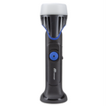 RECHARGEABLE LED AREA LIGHT